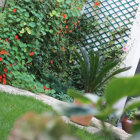 Le Clos Saint Nizier - Cathedrale- Parking - Wifi بيت للعطل *