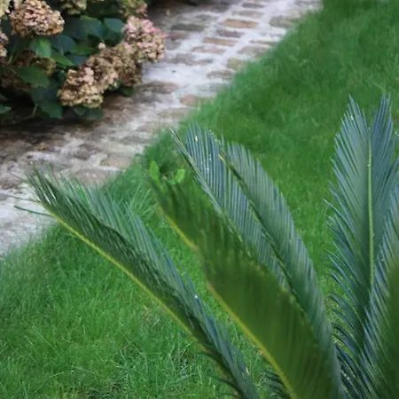 Le Clos Saint Nizier - Cathedrale- Parking - Wifi * تروي